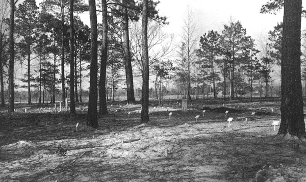 African American Cemetery