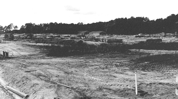 Land Clearing at Peterfield Point